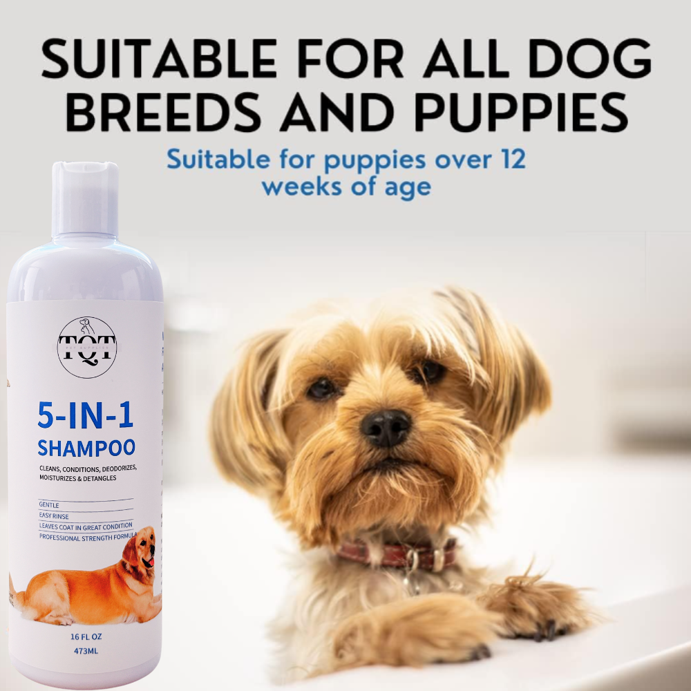 Dog Shampoo & Conditioner