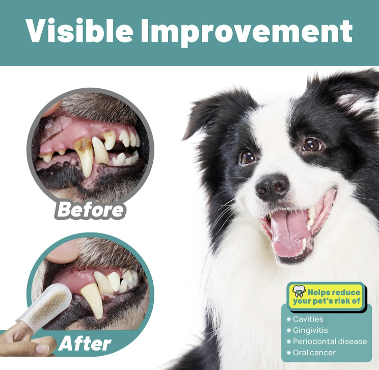 Pet Dental Care Wipes