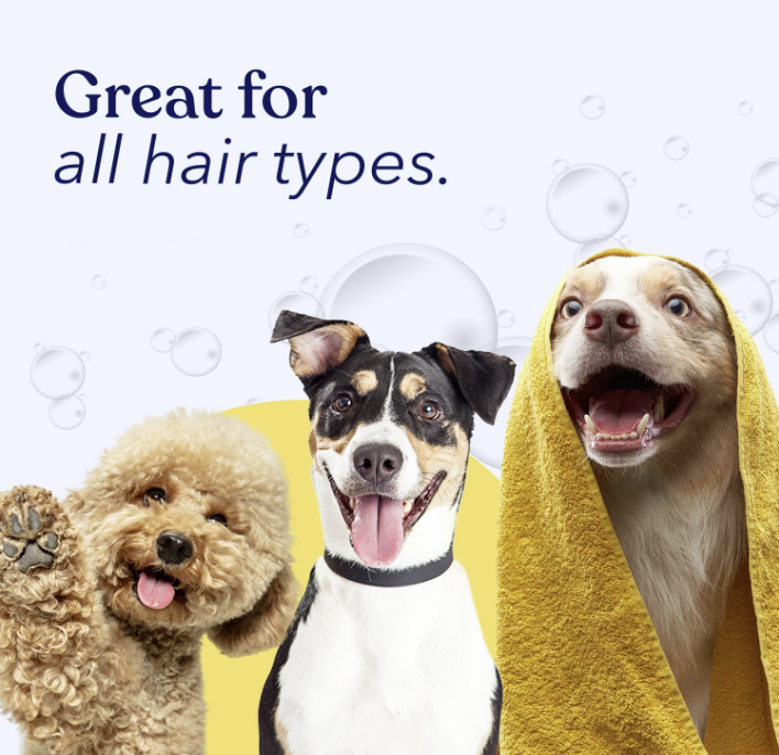 Dog Shampoo & Conditioner