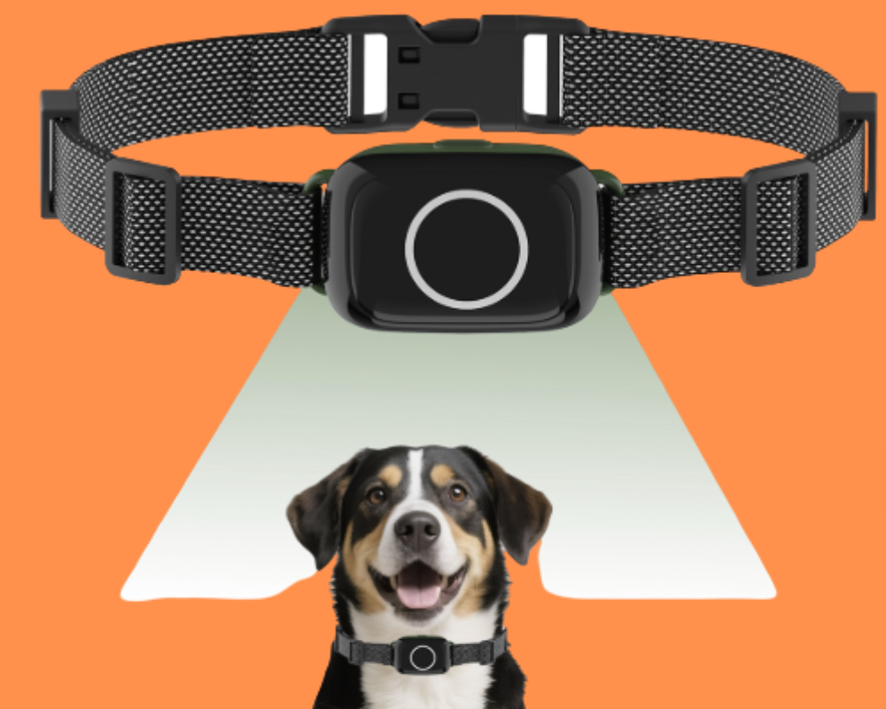 Replacement Receiver forog Fence - T800Pro