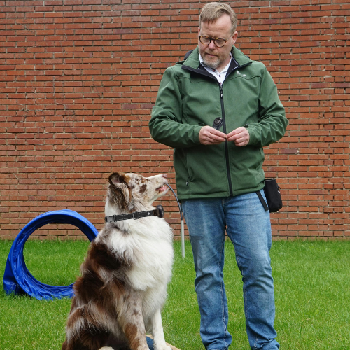 Dog Training