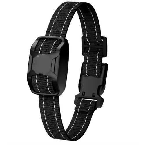 Replacement Receiver for Dog Training Collar RS2 Model
