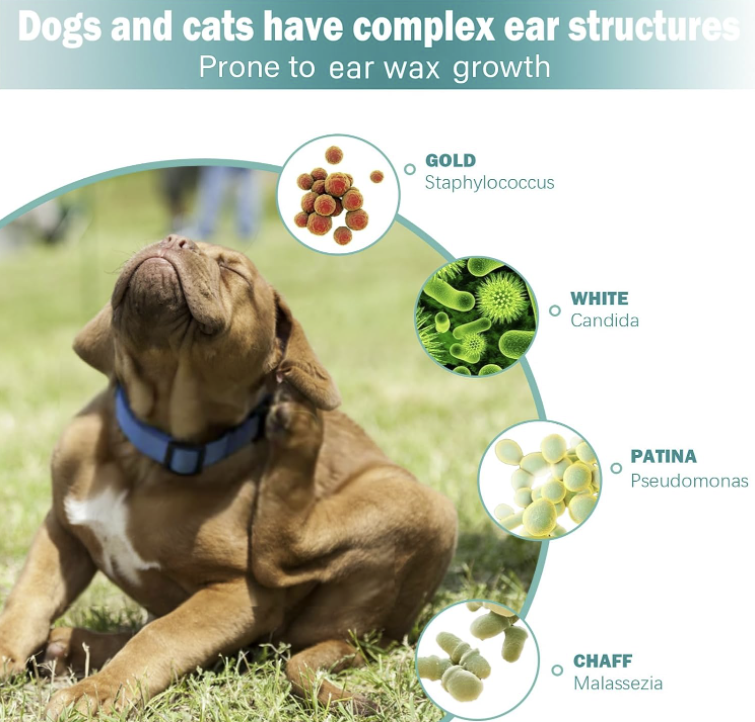Pet Ear Wipes