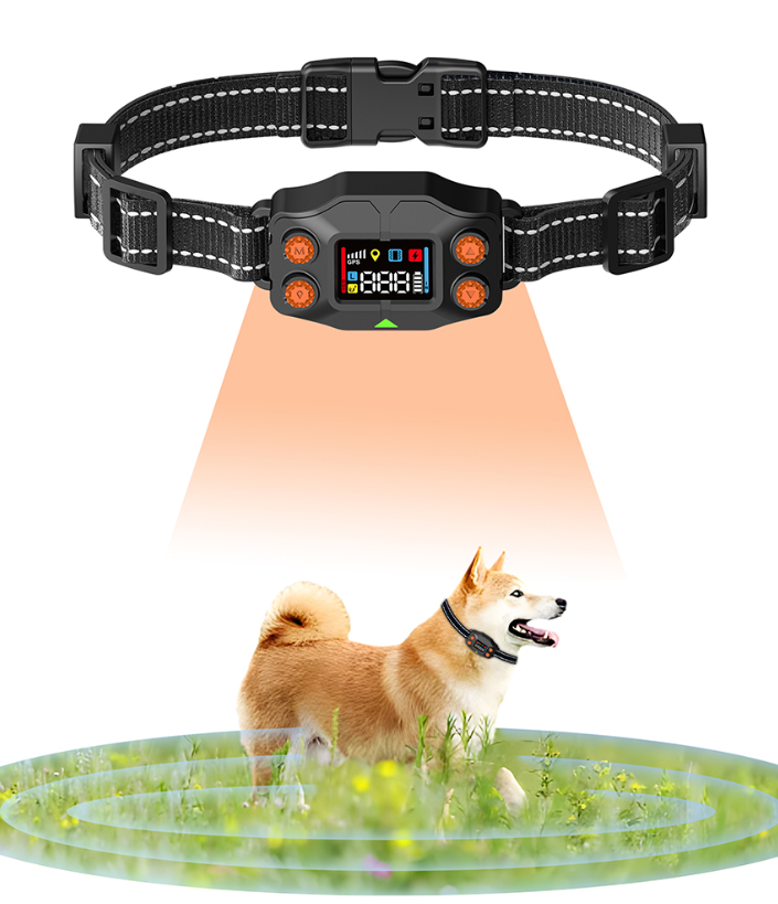 GPS Wireless Dog Fence - TQTF830