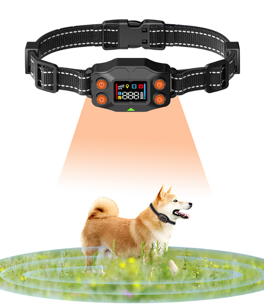 GPS Wireless Dog Fence - TQTF830